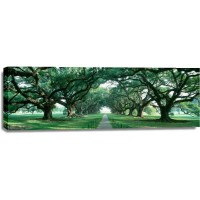 Bernardino Milano - Forest Path - Green View