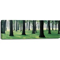 Melisende Perrin - Spring Forest - Too Green To Be True
