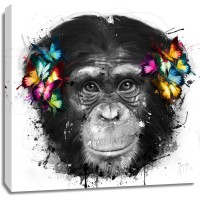 Patrice Murciano - Animals - Chimp - Can't Hear