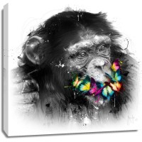 Patrice Murciano - Animals - Chimp - Can't Speak