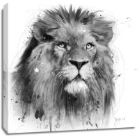 Patrice Murciano - Animals - Lion