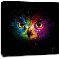 Patrice Murciano - Animals - Owl - Pop