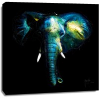Patrice Murciano - Animals - Elephant - Wild Light