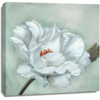 Marianne Broome - Precious Peony I