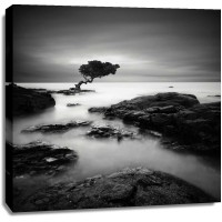 Rob Cherry - Tree of Temptation