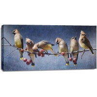 Chris Vest - Waxwing Tableau