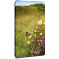 Chris Vest - In the Meadow I