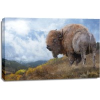 Chris Vest - Golden Bison 