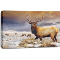 Chris Vest - Jackson Refuge Elk