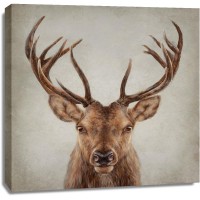 Dina Perejogina - Stag Presence