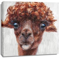Dina Perejogina - Alpaca I
