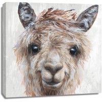 Dina Perejogina - Alpaca II