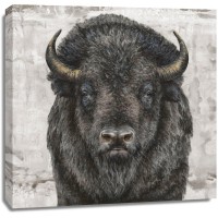 Dina Perejogina - Bison Presence 