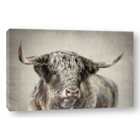 Dina Perejogina - Grand Kyloe Bull 