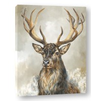 Dina Perejogina - Deer Hart 