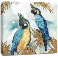 Eva Watts  - Golden Parrots