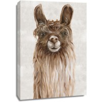 Eva Watts - Suri Alpaca I 