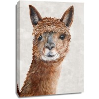 Eva Watts - Suri Alpaca II 