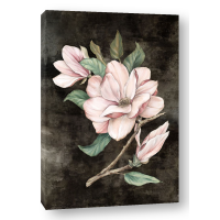 Eva Watts - Pink Magnolia I