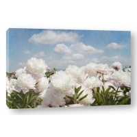 Georgianna Lane - Peonie Sunshine I