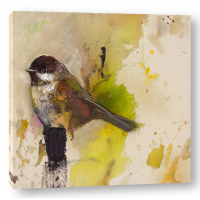 Daniel St Amant - Yellow Goldfinch 