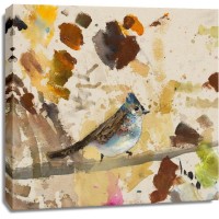 Daniel St Amant - Blue Jay 
