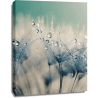 Ingrid Beddoes - Bashful Blue