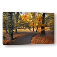 Jessica Jenney - Entrance to Autumn