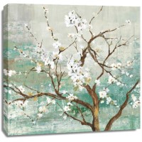 Asia Jensen - Kyoto 