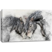 Kim Curinga - Equine Friendship