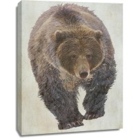 Kim Curinga - Brown Bear Walking