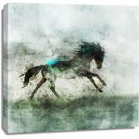 Ken Roko - Lone Star