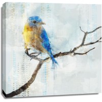 Ken Roko - Little Blue Bird I 