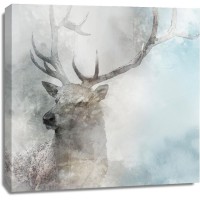 Ken Roko - Stag Gaze II