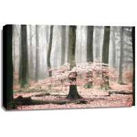 Lars Van De Goor - Tutu 