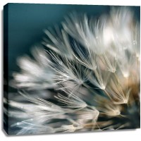 Irene Miller - Dandelion Dreams I
