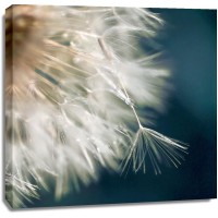 Irene Miller - Dandelion Dreams III