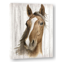 Maya May - Chestnut Mare I
