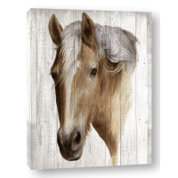 Maya May - Chestnut Mare II
