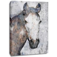 Irena Orlov - Horse Portrait II 