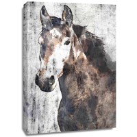 Irena Orlov - Horse Portrait I 