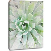 Irena Orlov - Rustic Succulent I 
