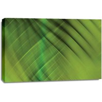 PI Studio - Tie Dye IV