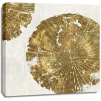 PI Studio - Gold Plate I 