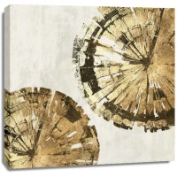 PI Studio - Gold Plate III 