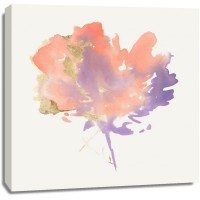 PI Studio - Silent Flower