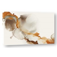 PI Studio - Undefined 