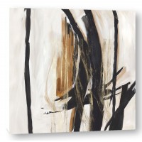 PI Studio - Black and Brown Expression