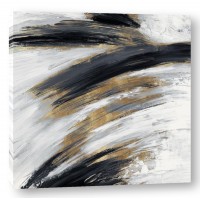 PI Studio - Express II 