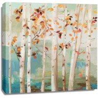 Allison Pearce - Fall Birch Trees 